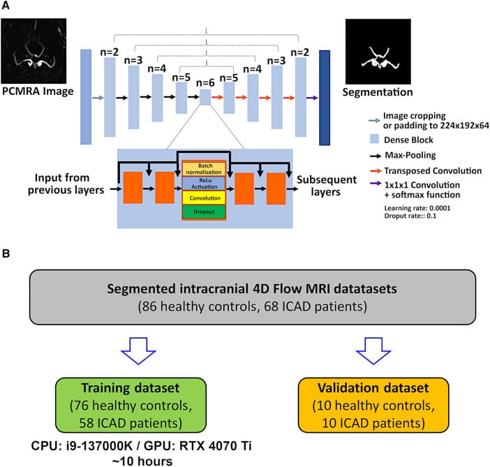 Deep-learning-enabled hemodynamics figure relevant to Allen and Markl translational imaging work