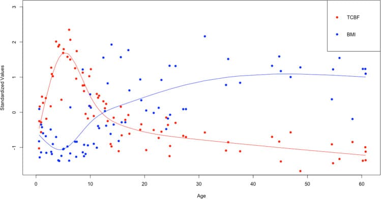 Heart-brain MRI figure relevant to atrial-fibrillation and cerebrovascular hemodynamics work